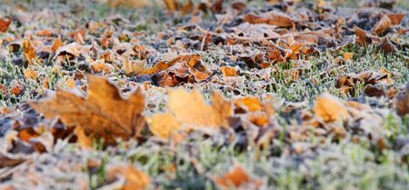 Cold snap: temperatures set to plummet overnight