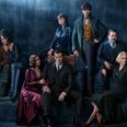 Harry Potter fans want to boycott the new Fantastic Beasts movie