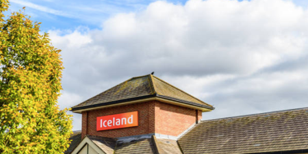 Irish Iceland supermarket shut down due to rodent infestation