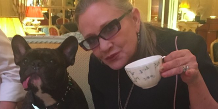 Carrie Fisher’s dog Gary has a cameo role in Star Wars: The Last Jedi
