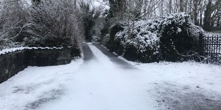 #Sneachta: People are losing their damn minds over the weather
