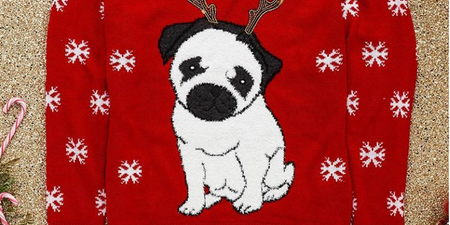 Penneys’ Christmas PUG jumpers are the cutest things you’ll ever wear