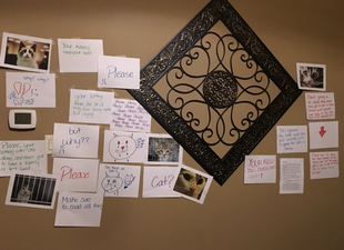 This young girl made a ‘wall of sorrow’ to guilt-trip her dad into getting a cat