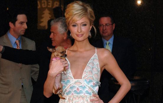 paris hilton