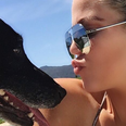 Khloe Kardashian pays heartbreaking tribute to her dog Gabbana