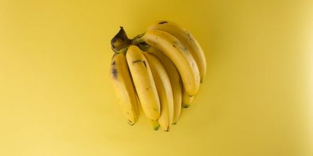 Not that we needed it, but banana peels are now edible