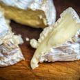 There’s now a vegan Camembert cheese, and it has already sold out