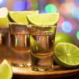 There’s a tequila shortage on the horizon and everyone’s pretty sad about it
