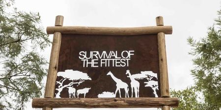 The first look at the Survival of the Fittest lodge where the cast will be staying