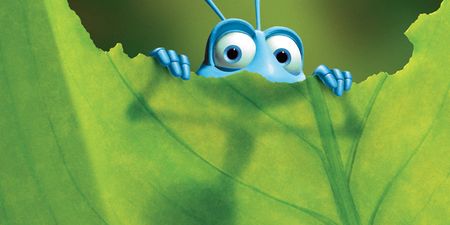 People think A Bug’s Life could be getting a sequel after this hint