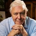 David Attenborough to teach kids geography in BBC’s online classes programme