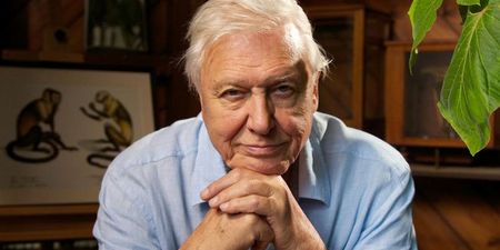 PSA: Today is officially the best Friday ever if you’re a big David Attenborough fan