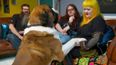 Everyone had the same reaction to this absolutely spectacular dog on Gogglebox