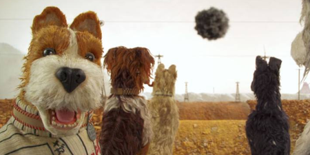 You can bring your dog to the cinema next week and we are too excited