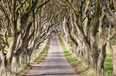 There’s a brilliant new documentary about the Game of Thrones experiences in Northern Ireland