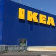This Italian IKEA store has opened up its doors to stray dogs, and we can’t cope