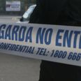 Gardaí investigating the death of a horse in Cork housing estate