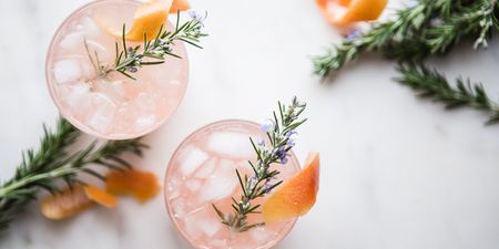 We’ve reached peak notions! Lidl has launched botanicals to garnish your G&T