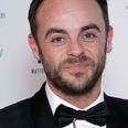 Ant McPartlin was twice over legal drinking limit, shows police charge sheet