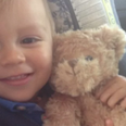 Lost Teddy: Irish Rail appeal to the public to find Mr. Berkofsky