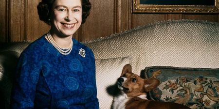 The Queen’s last Corgi, Willow, has died in Windsor Castle