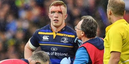 It was bloody, it was brutal… but Leinster are European champions again
