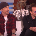 Bono admits to Ellen Degeneres that joining U2 saved his life