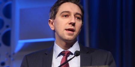 ‘Irish people gave a clear instruction’: Simon Harris warns TDs against delaying abortion bill