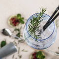 Zero calorie gin exists but we don’t know if we’d want to drink it