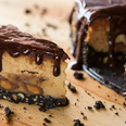 No bake Reese’s cheesecake is the stuff of dessert dreams