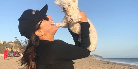 Eva Longoria’s dog passed away and her Instagram is so heartbreaking