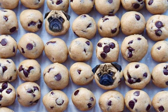 This Insta photoshops dog faces into food, and you’re welcome