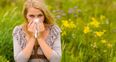 Met Éireann warn hay fever sufferers that pollen count will be ‘high’ across the country today