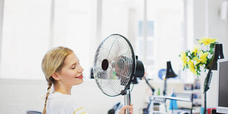 Government issue statement about maximum temperature allowed in the workplace