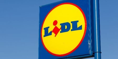Green Party ask Lidl to NOT sell pools next week; Lidl selling them anyway