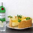 The delicious gin and tonic cheesecake recipe that is absolutely life-changing