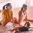 Dog Yoga is the fitness trend that we NEED to try this year