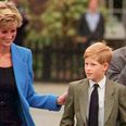 Princess Diana’s ex-bodyguard has just shared some harsh words for Prince Harry