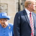 Prince Charles and Prince William ‘refused’ to meet Donald Trump during his visit to the UK