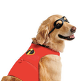 You can now get an Incredibles 2 costume for your doggo and yep, I’m deceased