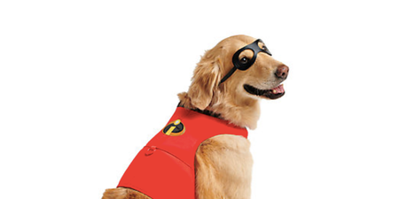 You can now get an Incredibles 2 costume for your doggo and yep, I’m deceased