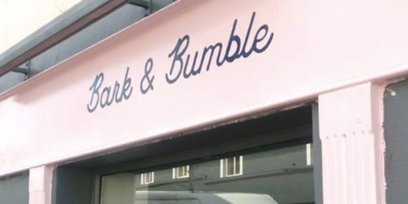 Cork is getting its very first DOG cafe and it looks like an absolute dream spot