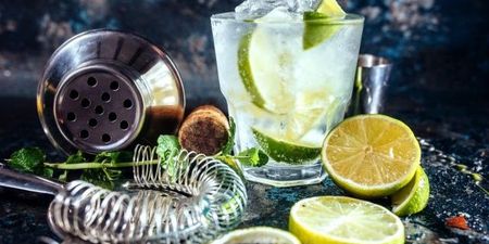 This Irish university is offering students a degree in GIN MAKING