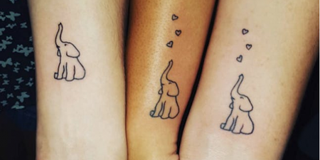 10 tiny animal tattoos that are just too adorable for words