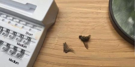 Woman accidentally sticks a DEAD FLY to her eye thinking it was a fake lash