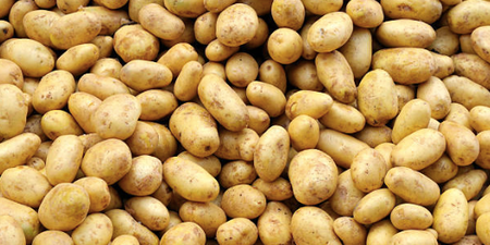 Potatoes are less popular these days and it’s all our fault