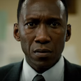 The new trailer for True Detective is here and it looks SO much better than season 2