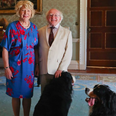 President Higgins’ dog totally stole the show in a meeting yesterday