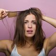 It turns out we may have been brushing our hair wrong the whole time