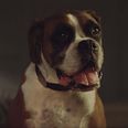 A famous face is reportedly set to star in this year’s John Lewis Christmas advert